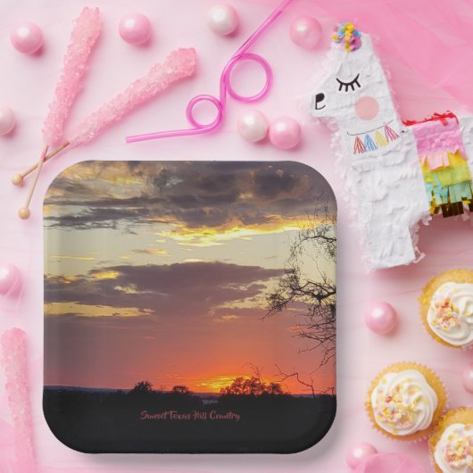 ゴージャスサンセットテキサス州ヒルカントリー ペーパープレート (パーティー)