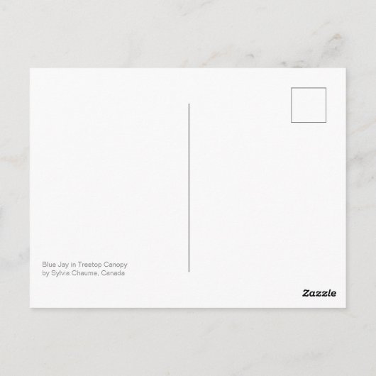 ゴージャスブルージェイインメープルケベックカナダ ポストカード (裏面)