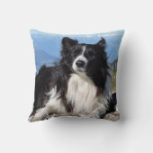 ゴージャス縁どコリードッグ白黒 クッション (裏面)