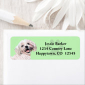 ゴージャス色彩の鮮やかマルチーズ差出人住所ラベル ラベル (インサイチュ)