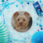 ゴージャス・ヨークシャー・テリア ペーパープレート (パーティー)