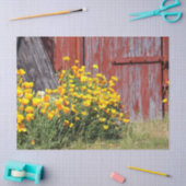 ゴージャス！黄色い花が咲き乱れ赤い納屋が 薄葉紙 (クラフト)