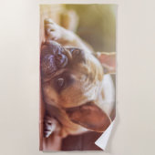 ゴージャフランスのスなブルドッグが横たわる ビーチタオル (正面)