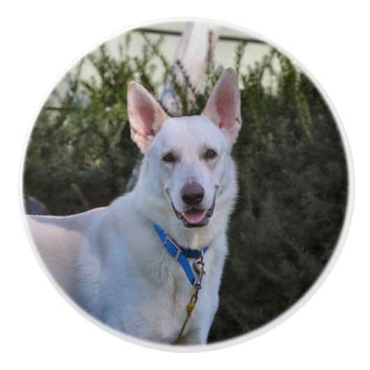 ゴースト セラミックノブ (正面)