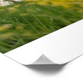 ゴーディー ポスター (角)