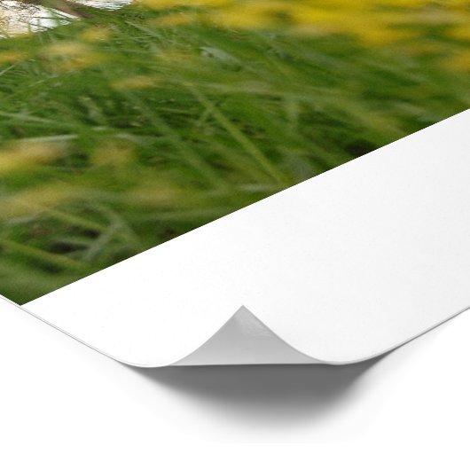 ゴーディー ポスター (角)