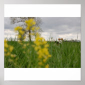 ゴーディー ポスター (正面)