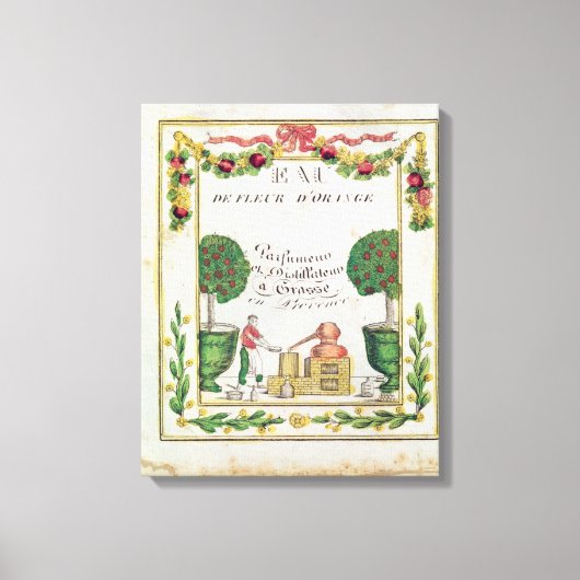 ゴーデフルーアオレンジのヴィネット キャンバスプリント (正面)