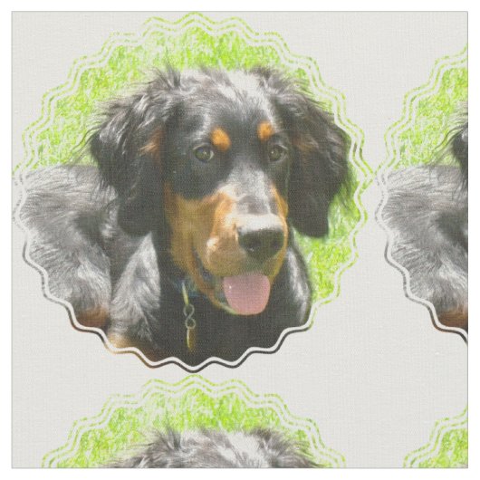 ゴードンセッター犬 ファブリック (クローズアップ)