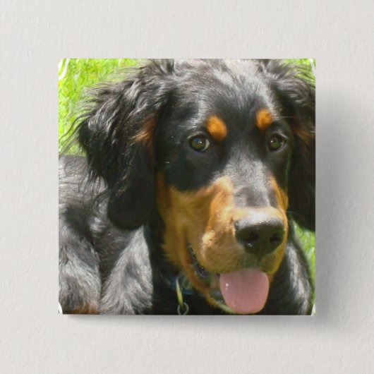 ゴードンセッター犬Pin 缶バッジ (正面)
