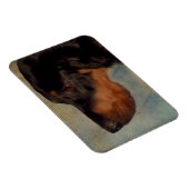 ゴードンセッター磁石 マグネット (右側)