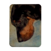 ゴードンセッター磁石 マグネット (縦)