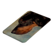 ゴードンセッター磁石 マグネット (左側)