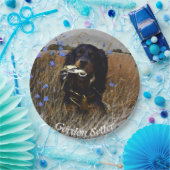 ゴードンセッター ペーパープレート (パーティー)