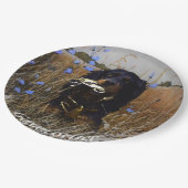 ゴードンセッター ペーパープレート (アングル)