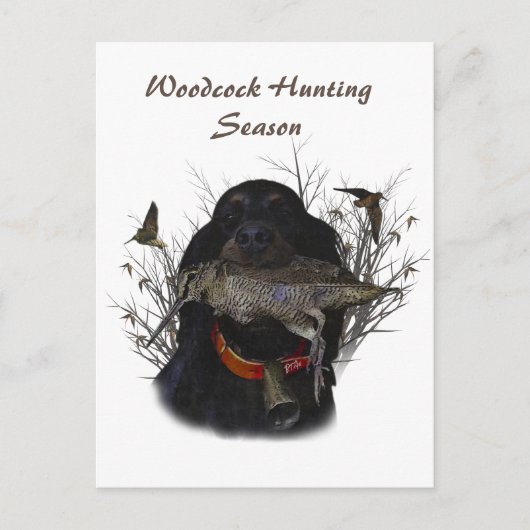 ゴードンセッター ポストカード (正面)