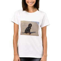 ゴードンセッター