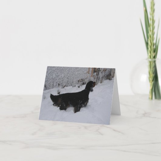 ゴードン・セッターのノート・カード シーズンカード (正面)