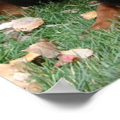 ゴードン・セッター世代ポスター ポスター (角)