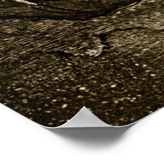 ゴーヤ – 旧振り1820 ポスター (角)