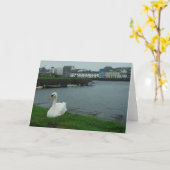 ゴールウェイの白鳥のメッセージカード カード (黄色い花)