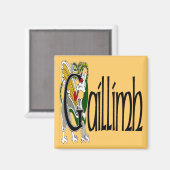 ゴールウェイ(ゲール)磁石 マグネット (正面/裏面)