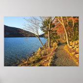 ゴールズ&ブルース ポスター (正面)