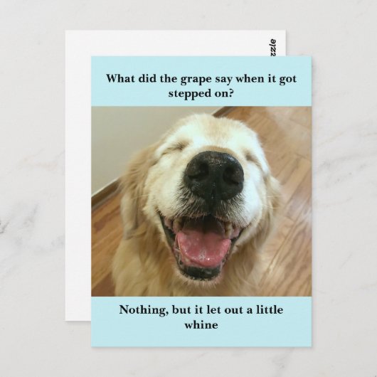 ゴールデンおもしろいレトリエバーグレープジョークミーム ポストカード (正面/裏面)