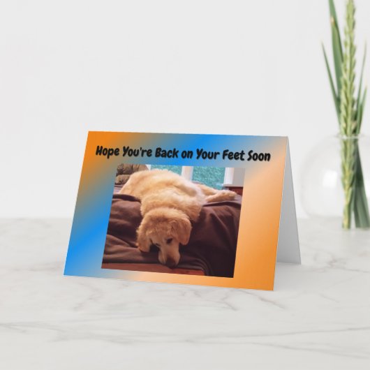 ゴールデンおもしろいレトリバーでウェルカードを取得 カード (正面)