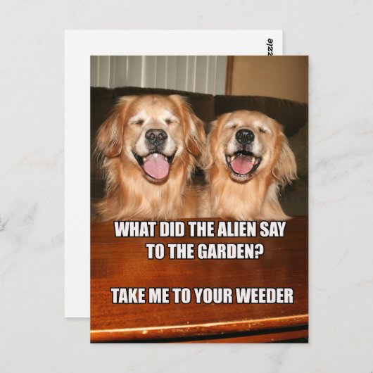 ゴールデンおもしろいレトリバーエイリアンジョークミーム ポストカード (正面/裏面)