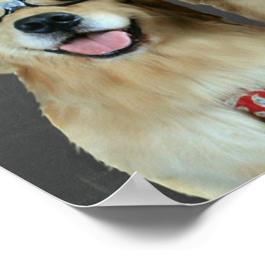 ゴールデンおもしろいレトリバー数学のジョーク教室 ポスター (角)