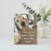 ゴールデンおもしろいレトリバー私はあなたが食べ物ミームを持っているのを見る ポストカード (スタンド正面)