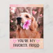 ゴールデンおもしろいレトリバー私はバレンタインデー シーズンポストカード (正面)