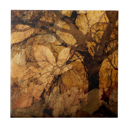 ゴールデンとブラウン葉の |メリットアイランド（フロリダ州） タイル (正面)