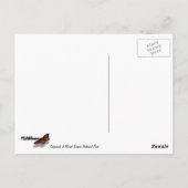 ゴールデンのマントルグラウンドリスの山レイニア ポストカード (裏面)