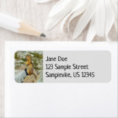 ゴールデンのマントルグラウンドリスの山レイニア ラベル (インサイチュ)