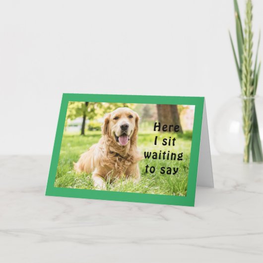 ゴールデンは「非常にハッピーバースデー」を望む カード (正面)