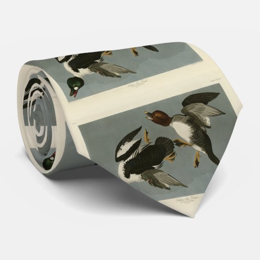 ゴールデンアイアヒル – オードボンのアメリカの鳥から ネクタイ (ロール)