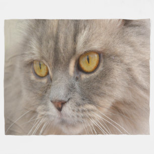 ゴールデンアイグレーペルシャ猫 フリースブランケット