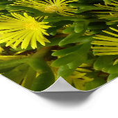 ゴールデンアイスパントイエローフラワー ポスター (角)