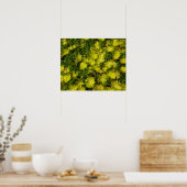 ゴールデンアイスパントイエローフラワー ポスター (キッチン)