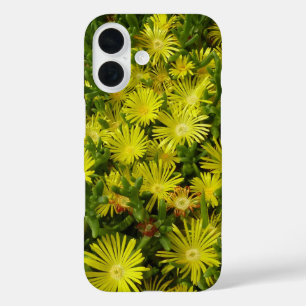 ゴールデンアイスプラントの黄色い花 iPhone 16ケース
