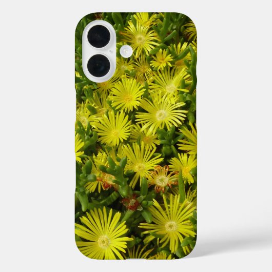 ゴールデンアイスプラントの黄色い花 Case-Mate iPhoneケース (裏面)