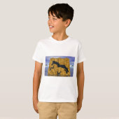 ゴールデンアイスランド Tシャツ (正面フル)