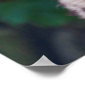 ゴールデンアイズプリント ポスター (角)