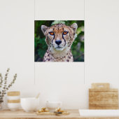 ゴールデンアイズプリント ポスター (キッチン)