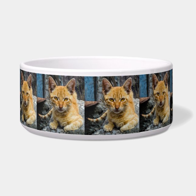 ゴールデンアイズボウル ボウル (左)