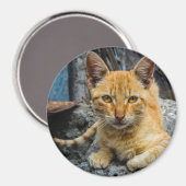 ゴールデンアイズ磁石 マグネット (正面/裏面)