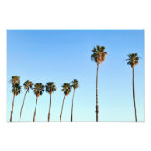 ゴールデンアワーのカリフォルニアのヤシの木 フォトプリント            (正面)