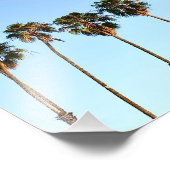 ゴールデンアワーのカリフォルニアのヤシの木 フォトプリント            (角)